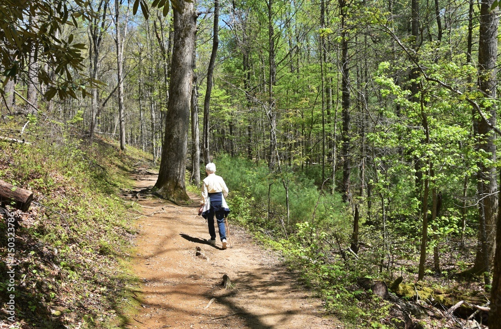 Walking in the Woods