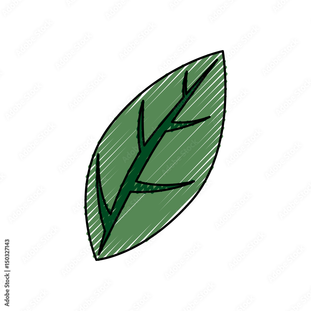 Leaf ecology symbol icon vector illustration graphic design