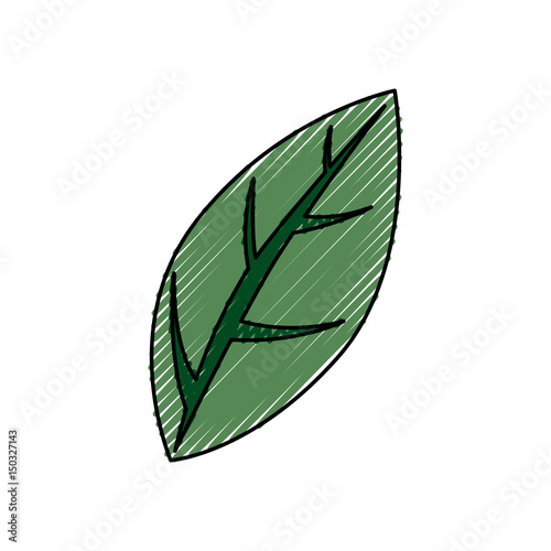 Leaf ecology symbol icon vector illustration graphic design