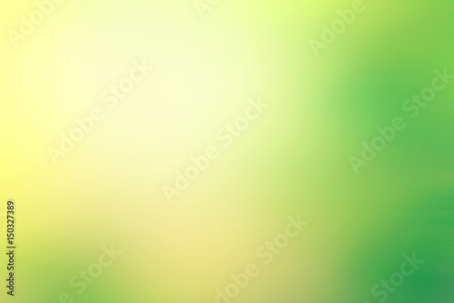 The Abstract light fresh nature green background