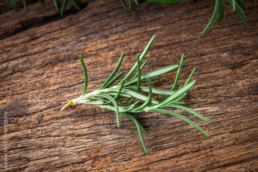 Fresh green Rosemary bound on a wooden board Fresh green Rosemary bound on a wooden board