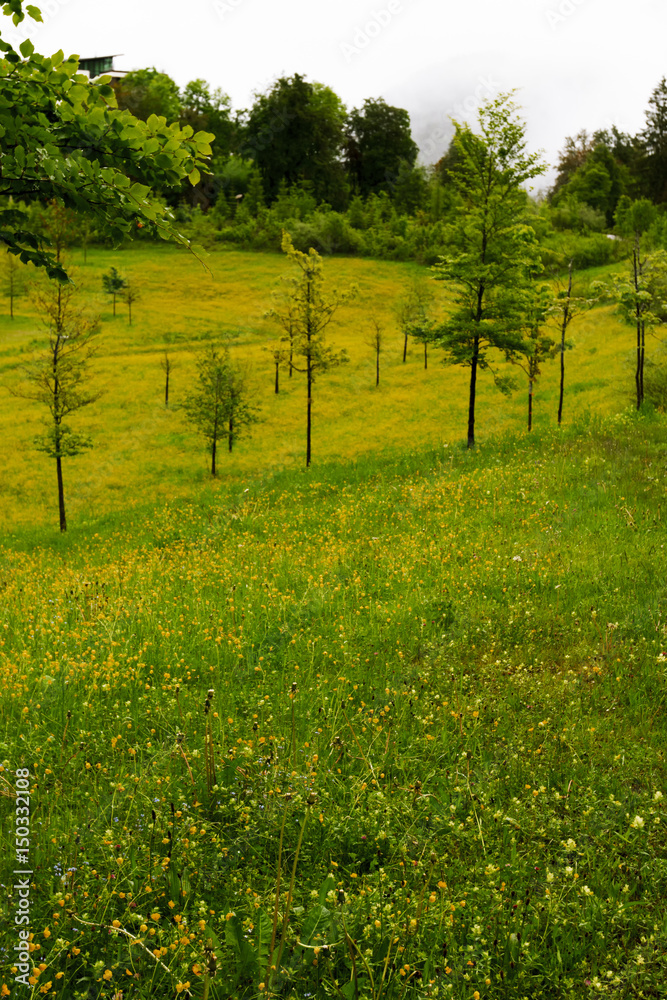 Fototapeta premium Berchtesgaden National Park.