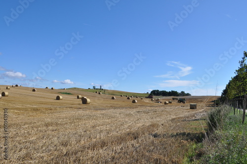 Erntezeit, Feld mit Strohballen, Posewald auf Rügen