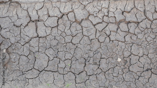 dry and Cracked earth