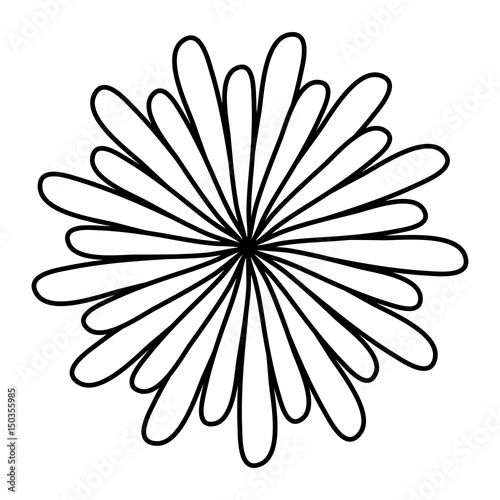 beautiful flower icon over white background. vector illustration