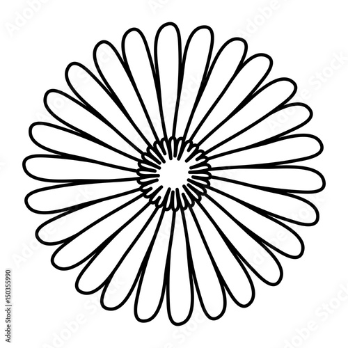 beautiful flower icon over white background. vector illustration