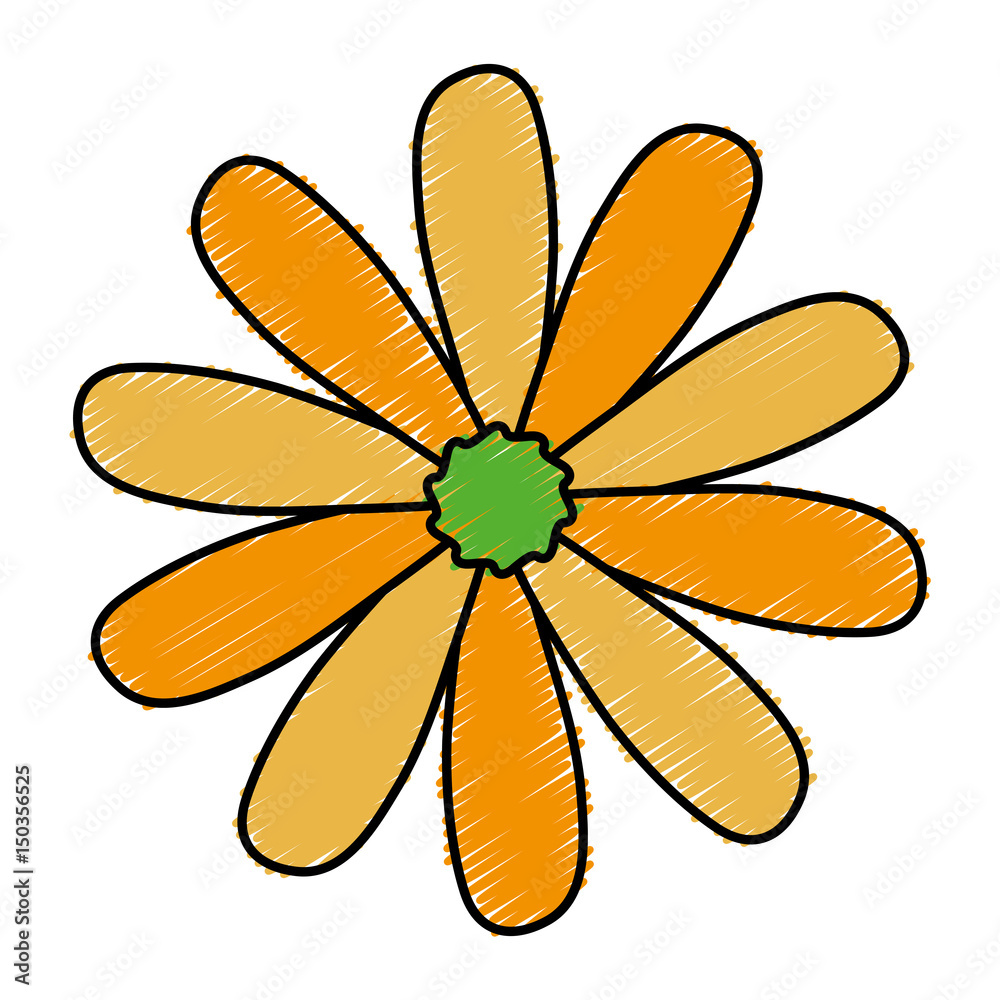 beautiful flower icon over white background. colorful design. vector illustration beautiful flower icon over white background. colorful design. vector illustration