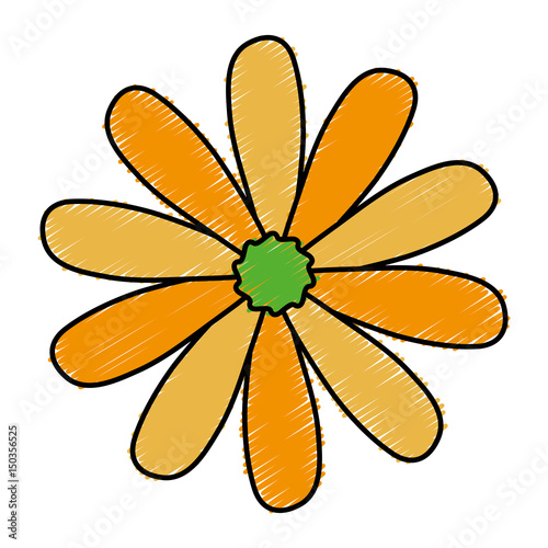 beautiful flower icon over white background. colorful design. vector illustration