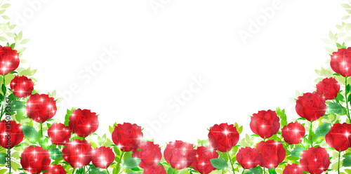 バラ　花　風景　背景
