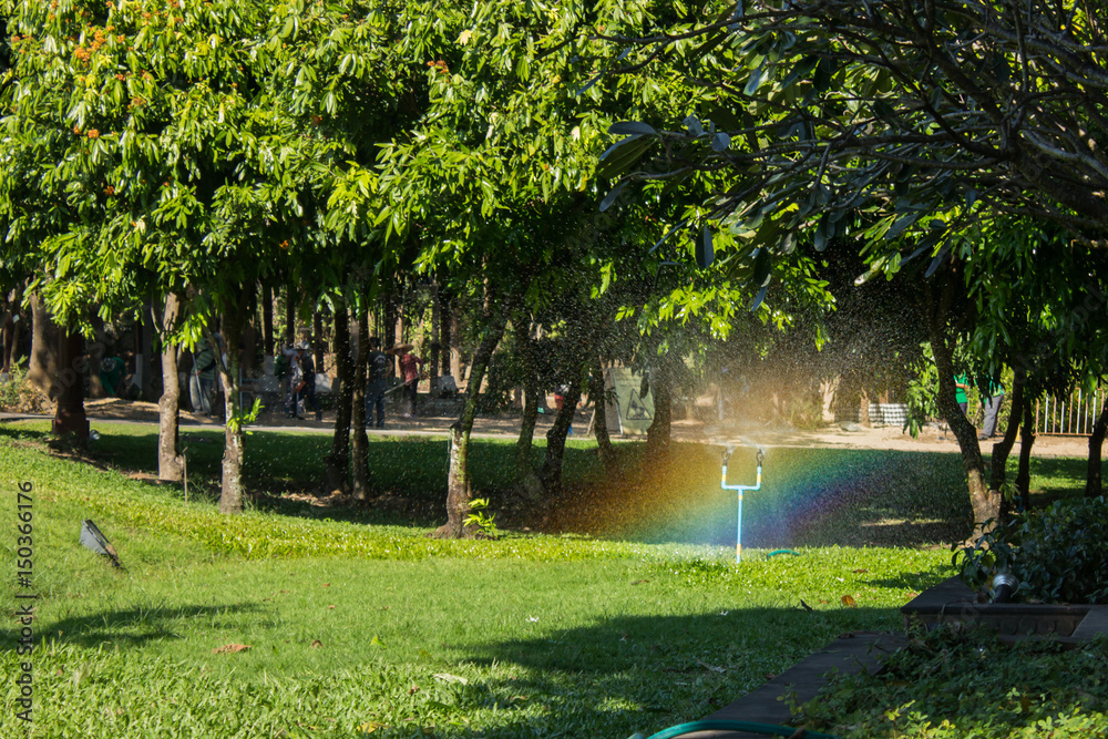 Fototapeta premium Automatic Garden Lawn sprinkler in action watering grass.