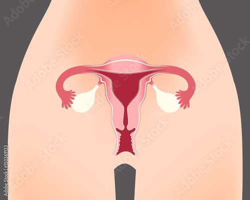 humanbody103