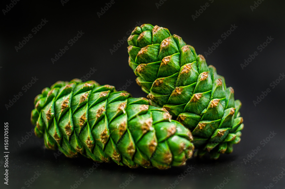 two green fir-cones on the black background two green fir-cones on the black background