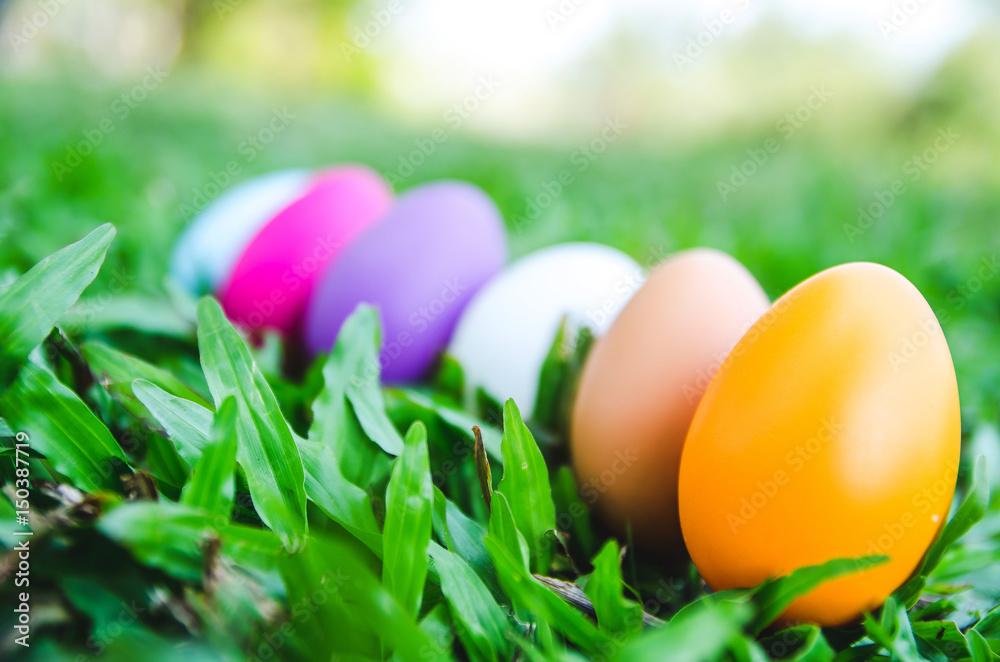 Easter eggs on green grass. Spring holidays concept