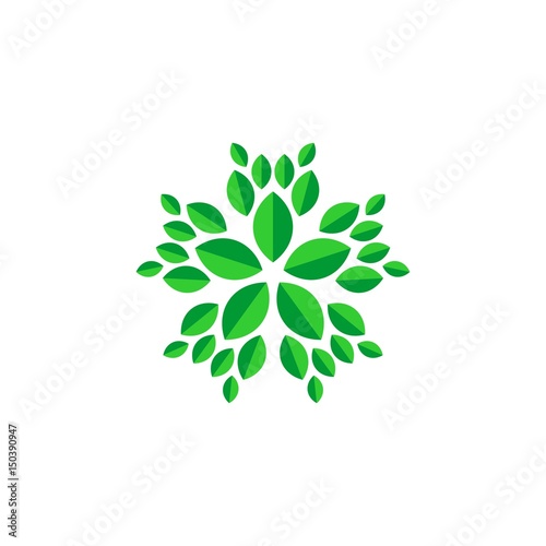 flower leaf abstract