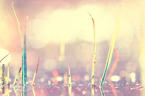 Vintage toned blurred background bokeh