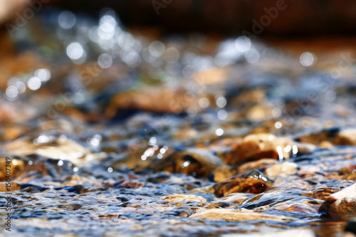 Εκτύπωση καμβά Multi-colored pebbles in a stream