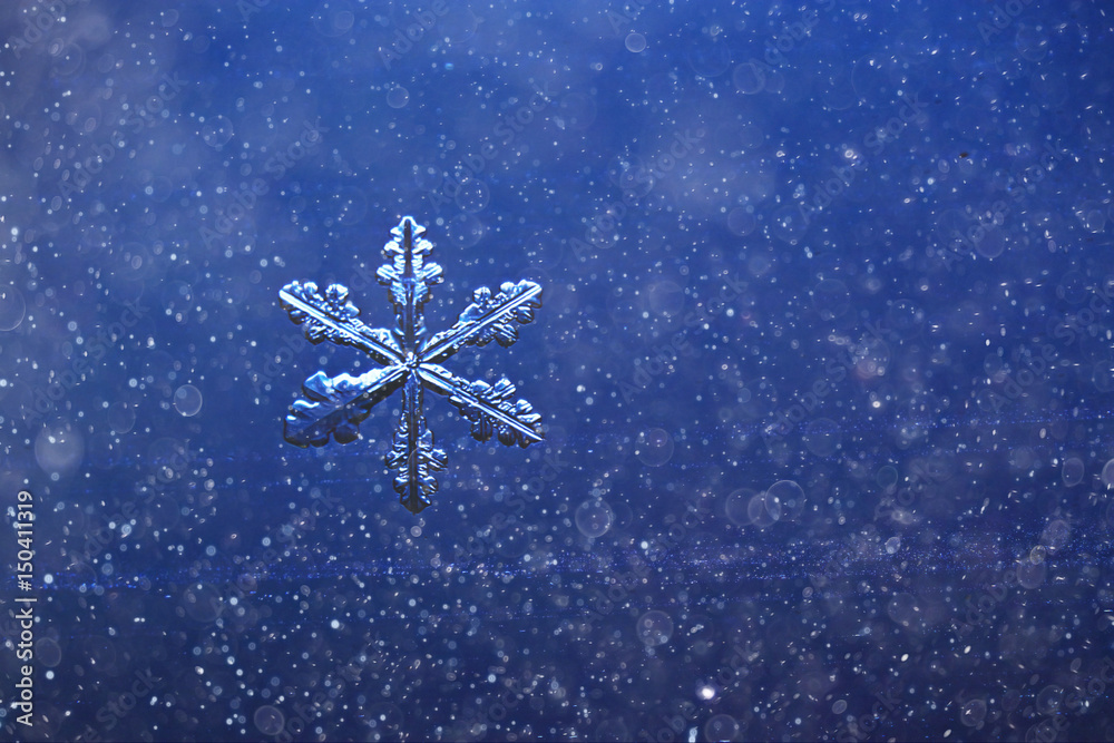 Fototapeta premium snowflake isolated on natural background
