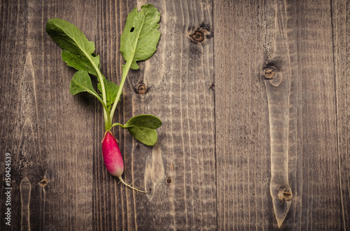 fresh radish on a dark wooden background/radish on a wooden background