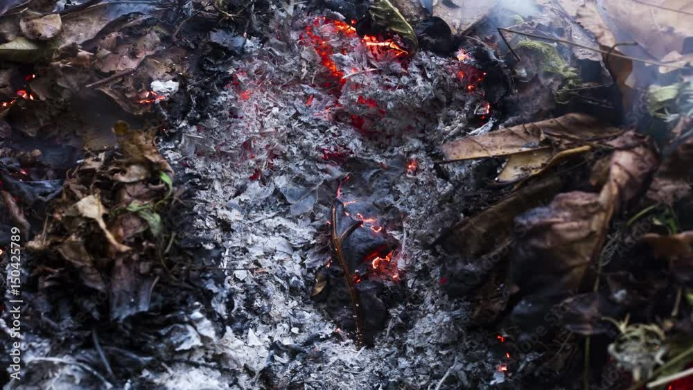 Timelapse video of a burning oak leaf in the ashes of a big pile of leaves and twigs in autumn as a part of garden preparation for winter in 4k 3840 pixels, 15fps Timelapse video of a burning oak leaf in the ashes of a big pile of leaves and twigs in autumn as a part of garden preparation for winter in 4k 3840 pixels, 15fps