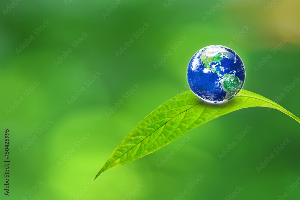 Earth on green leaf, Elements of this image furnished by NASA Earth on green leaf, Elements of this image furnished by NASA