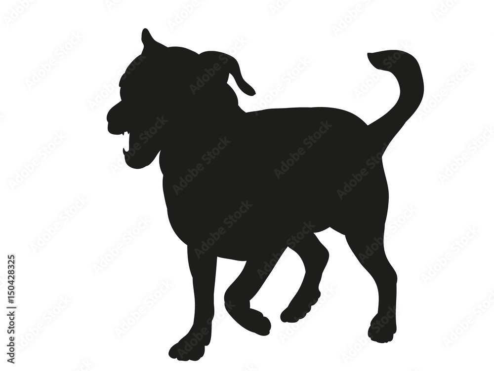  silhouette of a dog