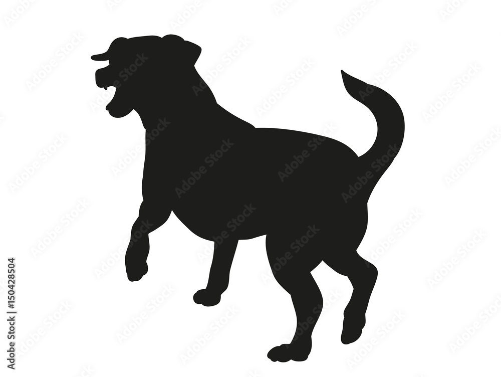 silhouette of a dog playing
