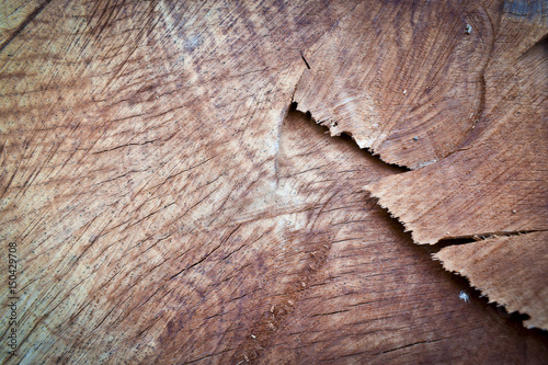 Foto Close up of a wood texture