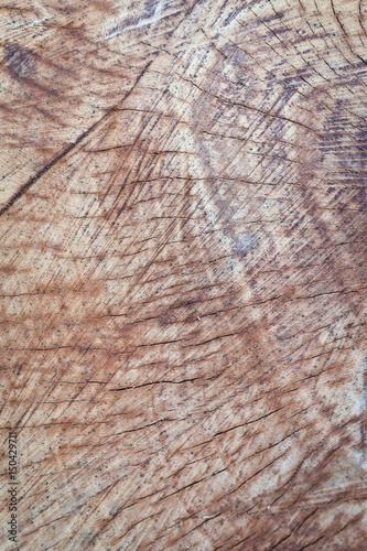 Bild auf Leinwand Close up of a wood texture