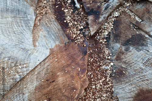 Foto Close up of a wood texture
