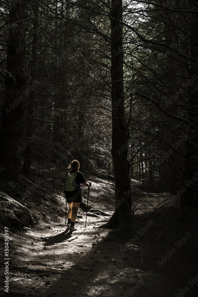 Obraz premium Tramping