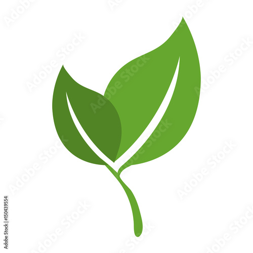 leafs plant ecology icon vector illustration design