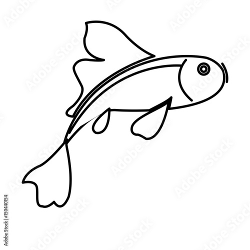 fish koi chinese animal asian decorative line vector illustration