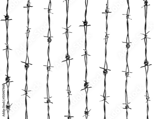 8 lines of vertical, new barbed wire, isolated against the clear white background.