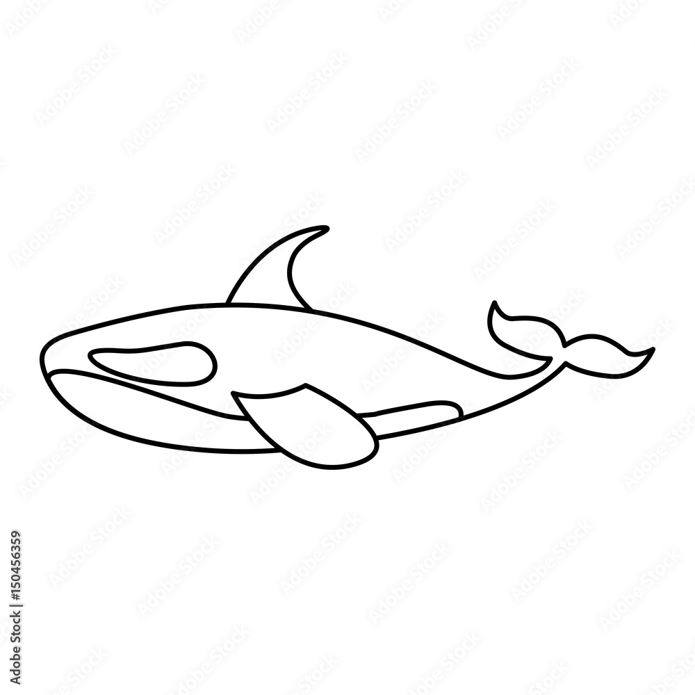 Fototapeta premium Orca whale isolated icon vector illustration design