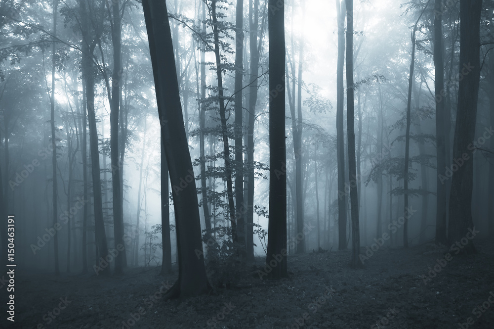 dark surreal forest landscape, Halloween background
