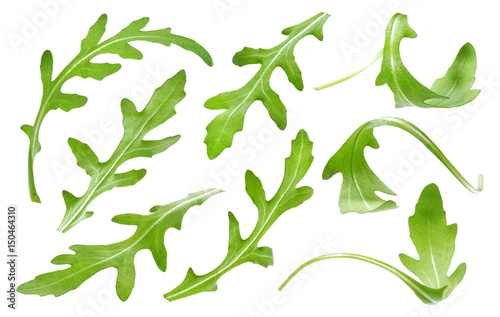 Ruccola leaf isolated on white background, single green arugula leaves collection