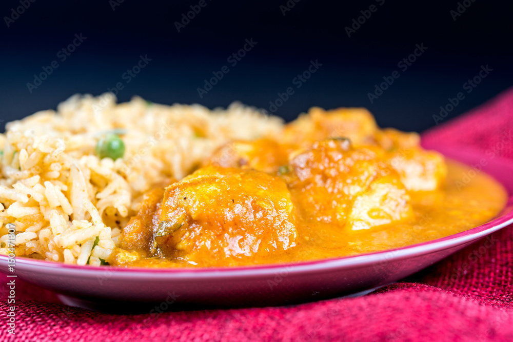 Handmade Indian curry chicken rice Stock Photo | Adobe Stock