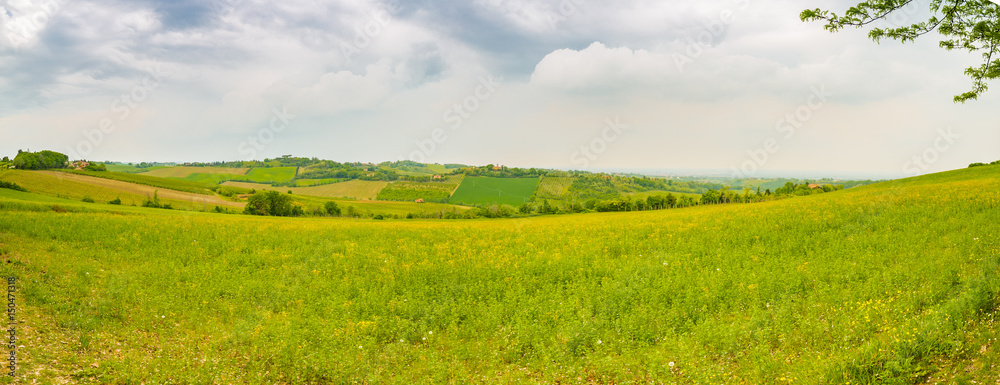 Fototapeta premium Italian hilly countryside