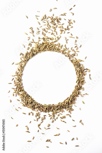 Spices for meat dishes. Whole fennel grains. White background. isolated.