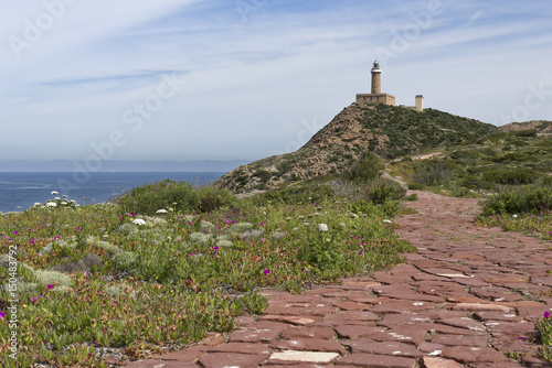 Capo Sandalo Lighthouse, St Pietro photo