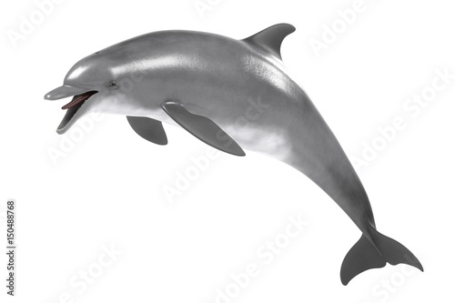 realistic 3d render of bottlenose dolphin