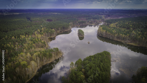 Fototapeta Naklejka Na Ścianę i Meble -  jeziora i lasy z lotu ptaka