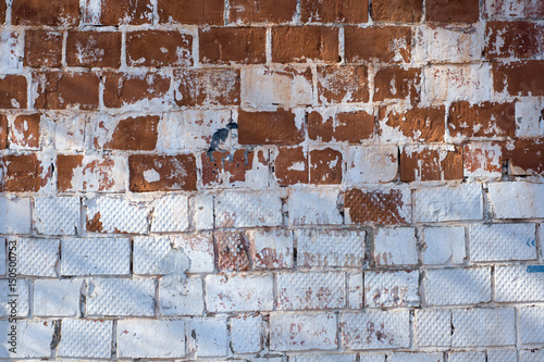 Multicolored peeling wall texture and background. Painted brickwork.