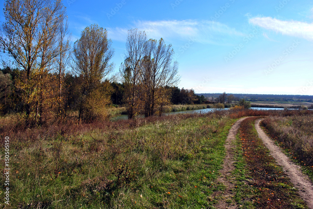 Line of yellow poplar trees in the hills on the edge of the road near the river, sunny autumn sky with clouds Line of yellow poplar trees in the hills on the edge of the road near the river, sunny autumn sky with clouds