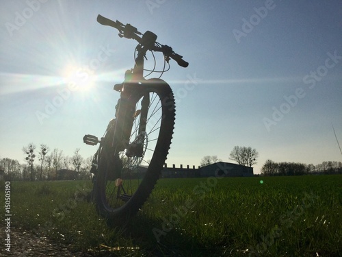 Fahrrad auf Wiese im Sonnenschein