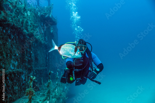 Diver, Wreck and Bream 