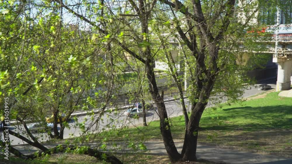 the view from the Park to auto traffic on the embankment of a city river in early spring