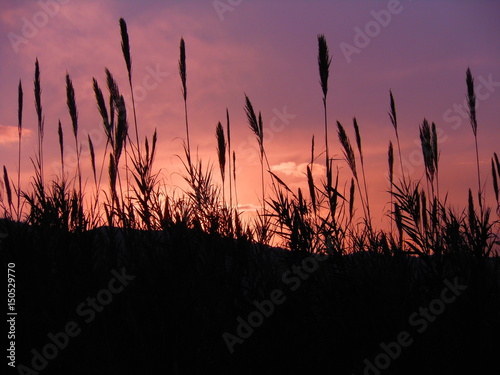 Tramonto © Alessio