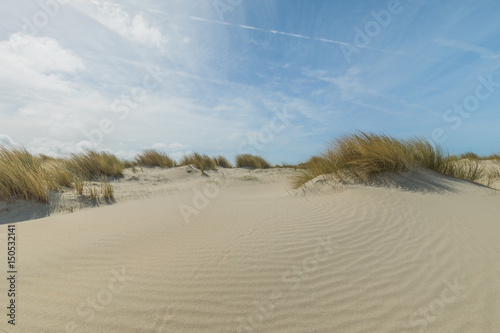Sunny Dunes At Renesse Netherlands