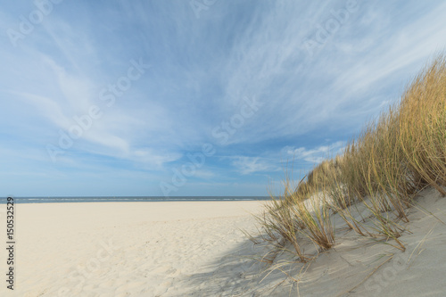 Beautiful Sunny Beach And Dunes At Renesse Netherlands